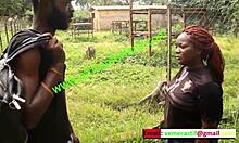 देश के चिड़ियाघर में गर्म मुलाकात - मोबोआ xvideos अनूठी पेशकश